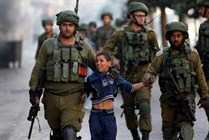 توصيات لجنة حقوق الانسان بشأن فلسطين توصيات لجنة حقوق الانسان بشأن فلسطين