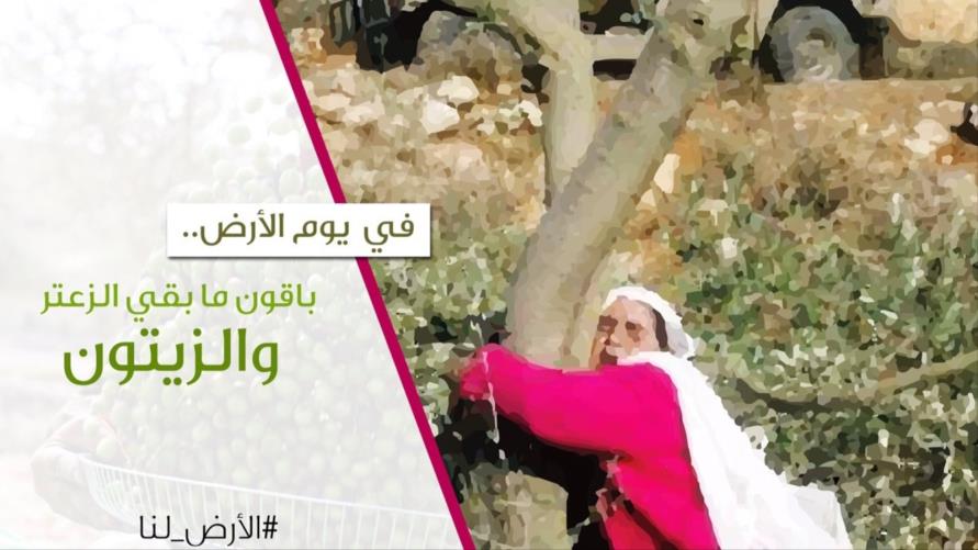 النضال الشعبي معركة الأرض يخوضها شعبنا لاحباط المشروع التصفوي الأمريكي بإفشال فصل غزة عن القدس والضفة النضال الشعبي معركة الأرض يخوضها شعبنا لاحباط المشروع التصفوي الأمريكي بإفشال فصل غزة عن القدس والضفة