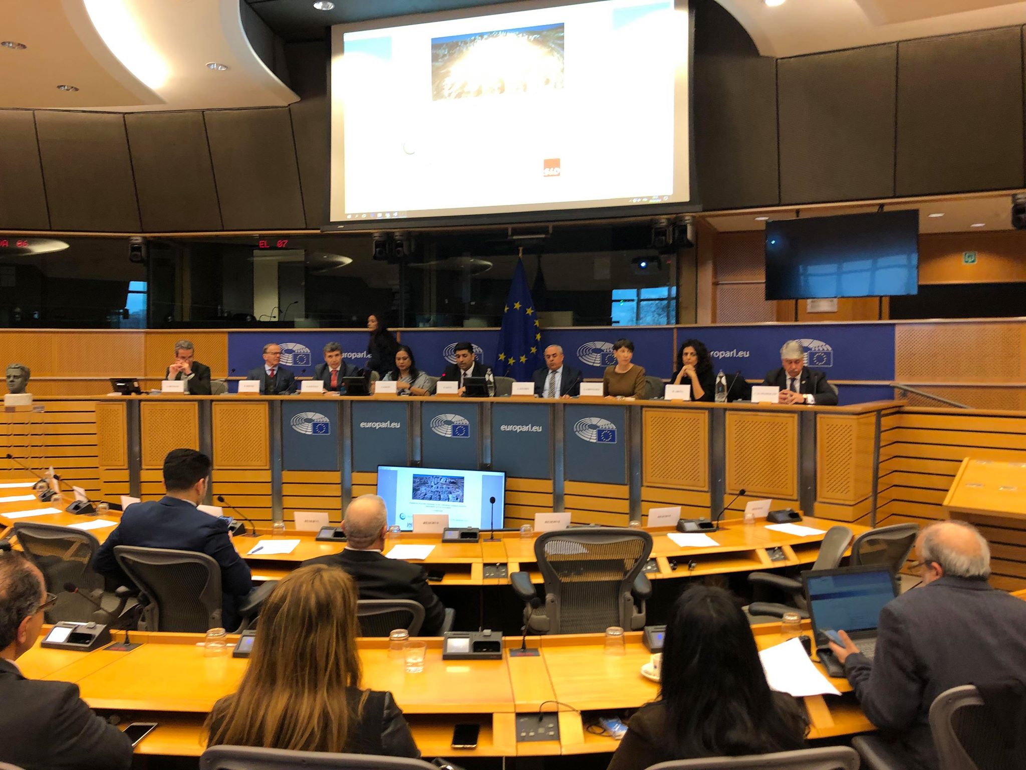 د.مجدلاني على الاتحاد الاوروبي انقاذ حل الدولتين والاعتراف بدولة فلسطين وتنفيذ قرار وسم متتوجات المستوطنات