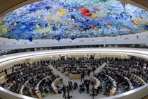 “حقوق الإنسان” يدين انتهاكات الاحتلال في فلسطين “حقوق الإنسان” يدين انتهاكات الاحتلال في فلسطين
