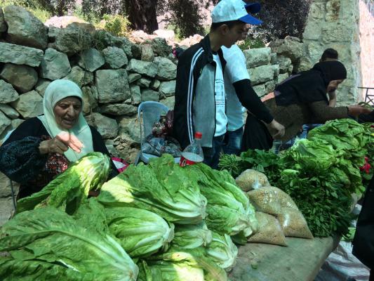 ارطاس تحتفل بمهرجان الخس السنوي ارطاس تحتفل بمهرجان الخس السنوي