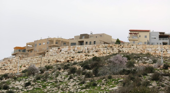 الاستيطان.. إرهاب بالقول والفعل الاستيطان.. إرهاب بالقول والفعل