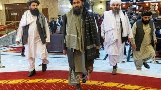 من هم قادة جماعة السيف والبنادق وزعيم طالبان في أفغانستان؟!