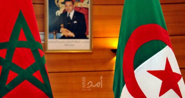 أكاديميون وناشطون من الجزائر والمغرب يوجهون “نداء إلى العقل” لوقف التصعيد بين بلديهما
