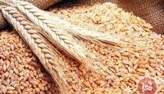 رئيس البنك الدولي يتوقع أن تستمر أزمة الأمن الغذائي لأشهر على الأقل رئيس البنك الدولي يتوقع أن تستمر أزمة الأمن الغذائي لأشهر على الأقل