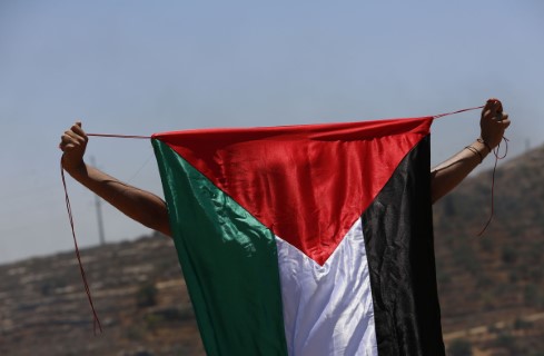 65 منظمة عالمية تطالب مفوض حقوق الإنسان بالعدالة للفلسطينيين 65 منظمة عالمية تطالب مفوض حقوق الإنسان بالعدالة للفلسطينيين