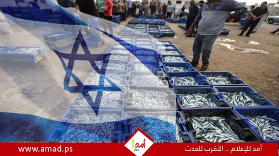 رغم الالتزام بشروط سلطات الاحتلال الخاصة تقرير: منع إسرائيل تسويق أسماك غزة بالضفة يُوقف حركة الصيد رغم الالتزام بشروط سلطات الاحتلال الخاصة تقرير: منع إسرائيل تسويق أسماك غزة بالضفة يُوقف حركة الصيد