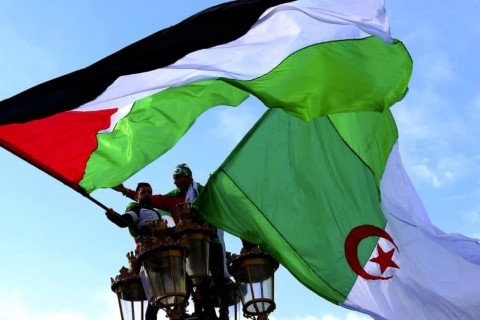 برقية تهنئة لحزب التحالف الوطني الجمهوري الجزائري د.مجدلاني نثمن مواقف الجزائر ودعمها التاريخي لقضية شعبنا برقية تهنئة لحزب التحالف الوطني الجمهوري الجزائري د.مجدلاني نثمن مواقف الجزائر ودعمها التاريخي لقضية شعبنا