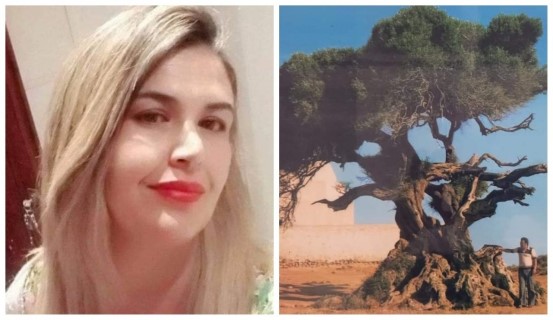 زيتونة عليسة .. الكاتبة والفنانة التشكيلية: رجاء بن موسى زيتونة عليسة .. الكاتبة والفنانة التشكيلية: رجاء بن موسى