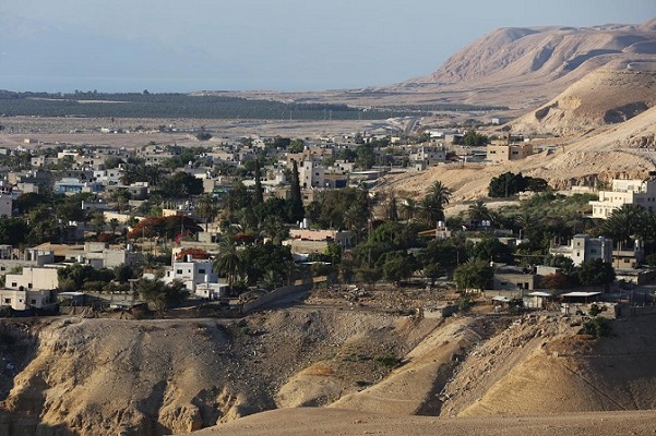 عقبة جبر.. نخيل المخيم لا ينحني عقبة جبر.. نخيل المخيم لا ينحني