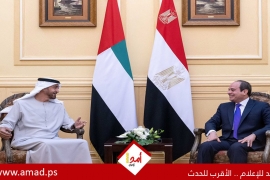 السيسي يعقد “لقاءاً أخويا” مع الرئيس الإماراتي في العلمين السيسي يعقد “لقاءاً أخويا” مع الرئيس الإماراتي في العلمين