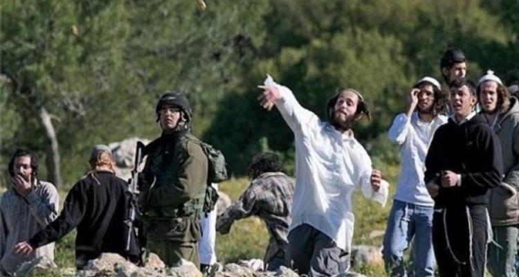 851 اعتداءً للاحتلال ومستوطنيه الشهر الماضي 851 اعتداءً للاحتلال ومستوطنيه الشهر الماضي