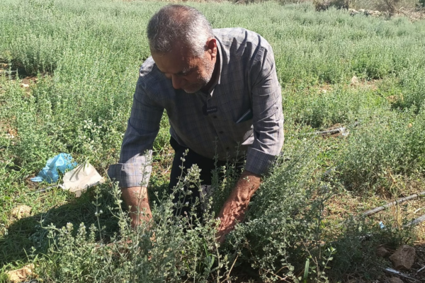 “خربة الحمام”.. صمود في مواجهة الاستيطان “خربة الحمام”.. صمود في مواجهة الاستيطان