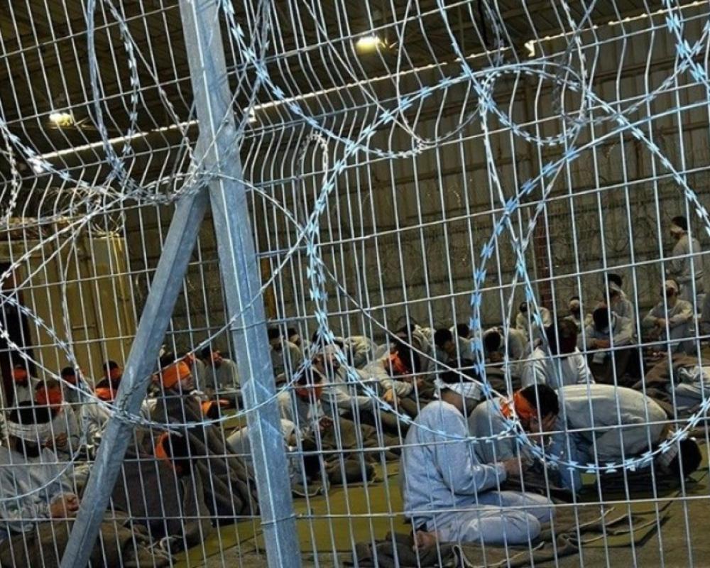 في معتقل سدي تيمان.. فيديو يوثق اعتداء جنود الاحتلال جنسيا على معتقل من غزة في معتقل سدي تيمان.. فيديو يوثق اعتداء جنود الاحتلال جنسيا على معتقل من غزة
