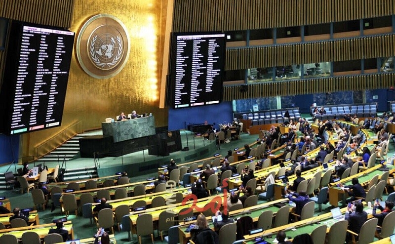 فيذا لمذكرة “العدل الدولية”.. مقترح في الأمم المتحدة يطالب إسرائيل بالانسحاب من أرض دولة فلسطين خلال 6 أشهر فيذا لمذكرة “العدل الدولية”.. مقترح في الأمم المتحدة يطالب إسرائيل بالانسحاب من أرض دولة فلسطين خلال 6 أشهر