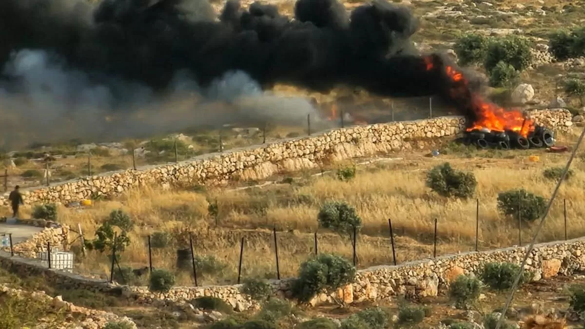مستعمرون يتلفون محاصيل زراعية في الأغوار الشمالية مستعمرون يتلفون محاصيل زراعية في الأغوار الشمالية