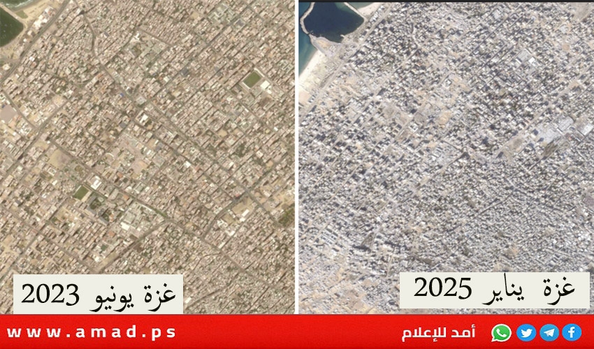 بيردي: البنك الدولي يصدر تقييما لحجم الأضرار في قطاع غزة الأسبوع الجاري بيردي: البنك الدولي يصدر تقييما لحجم الأضرار في قطاع غزة الأسبوع الجاري