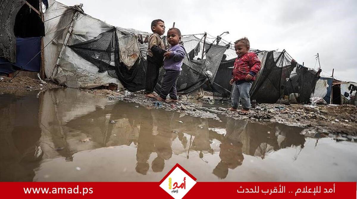 في مجلس الأمن..دول أوروبية: لا مكان لحماس في مستقبل غزة