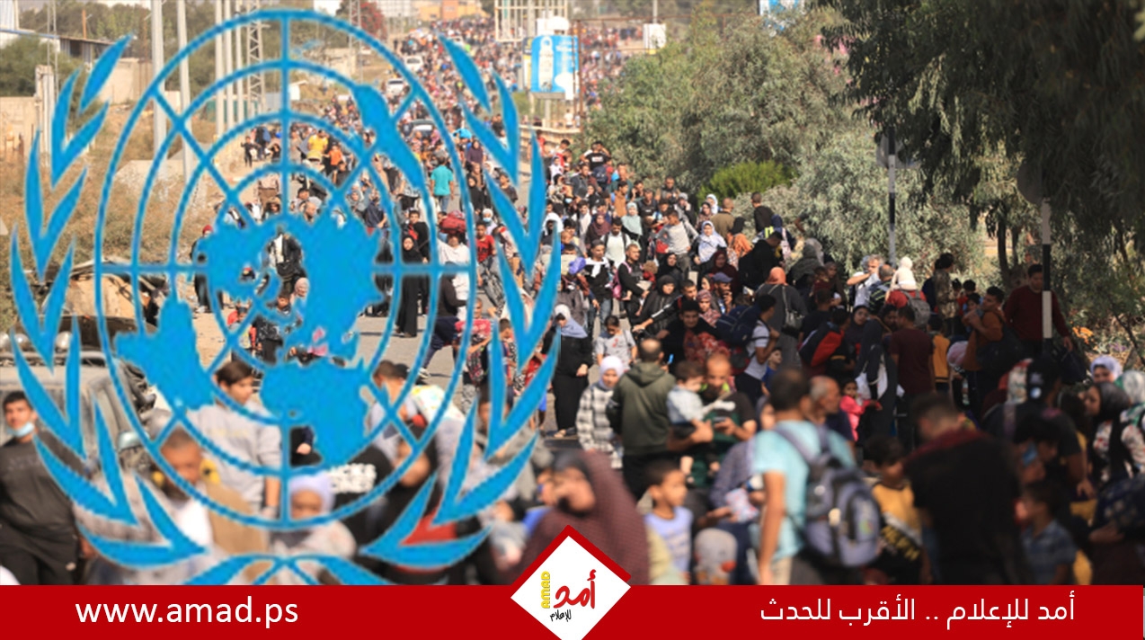 تحت ضغط مركب..الأمم المتحدة تراجع تأثير وكالتها في مساعدة اللاجئين في غزة تحت ضغط مركب..الأمم المتحدة تراجع تأثير وكالتها في مساعدة اللاجئين في غزة