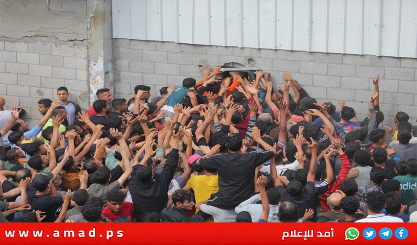 جيش الاحتلال يعدم عشرات الفلسطينين قرب مركز مساعدات في رفح – أسماء