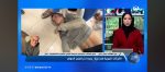 الرفيق جمال خليل بلقاء عبر الفضائية الوطنية للحديث عن الانزالات الجوية الرفيق جمال خليل بلقاء عبر الفضائية الوطنية للحديث عن الانزالات الجوية