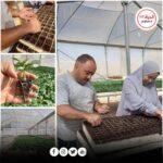من بطالة الحرب إلى “مشتل الأمل”: عبيدة وزوجته يزرعان الحياة من جديد