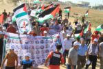النضال الشعبي: مستقبل غزة شأن وطني عام ولا يجوز احتكار نقاشه والتفرد في قراره
