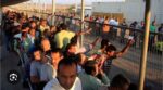 اتحاد نضال العمال: عمال فلسطين بين رصاص الاحتلال وسياسات الإقصاء اتحاد نضال العمال: عمال فلسطين بين رصاص الاحتلال وسياسات الإقصاء